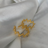 Anillo Adria